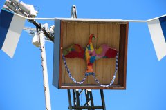 Schuetzenfest-2026-Montag25.05.26-10-11-42-CEST25.05.26-10-11-42-CEST_ergebnis