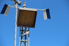 Schuetzenfest-2026-Montag25.05.26-10-37-42-CEST25.05.26-10-37-42-CEST_ergebnis